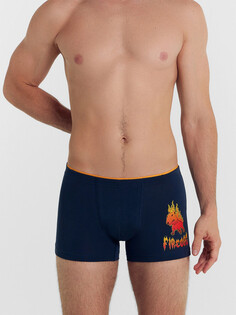 Трусы мужские боксеры серые с печатью Mark Formelle