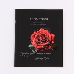 Предметная тетрадь а5, 48 л на скрепке Art Fox Study