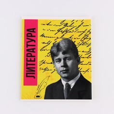 Предметная тетрадь а5, 48 л на скрепке Art Fox Study