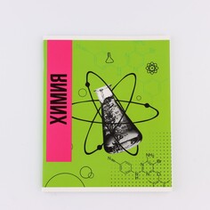 Предметная тетрадь а5, 48 л на скрепке Art Fox Study