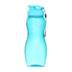 Бутылка для воды, 1 л, 25 х 9 см, синяя NO Brand