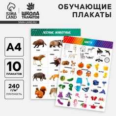 Набор обучающих плакатов Школа талантов