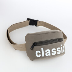Сумка дет на пояс classik, 17*6*10, отд на молнии, регул стропа 110см, серый NO Brand