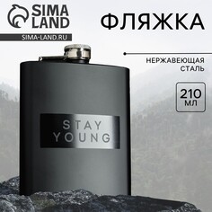 Фляжка stay young, 210 мл Mode Forrest