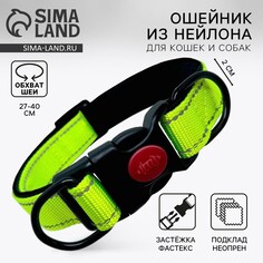 Ошейник с подкладом из нейлона с фастексом 2 см, ош 27-40 см, зеленый Пушистое счастье