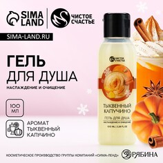 Новогодний гель для душа, 100 мл, аромат тыквенного капучино, новый год Чистое счастье