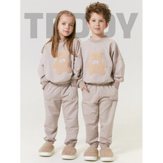 Спортивные костюмы AmaroBaby Костюм детский Teddy