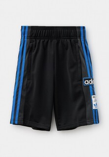 Шорты спортивные adidas Originals SHORTS