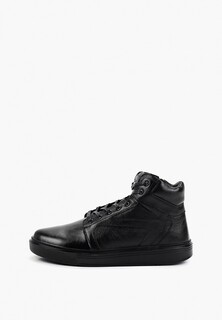 Кеды Alessio Nesca 