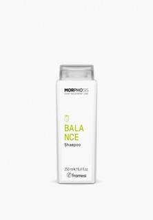 Шампунь Framesi BALANCE SHAMPOO