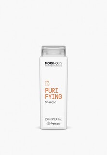 Шампунь Framesi PURIFYING SHAMPOO