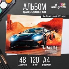 Альбом для рисования а4, 48 листов на склейке Calligrata