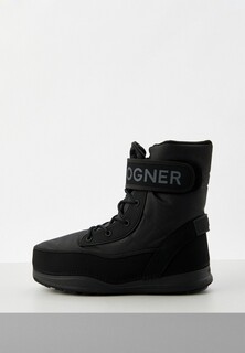 Луноходы Bogner 