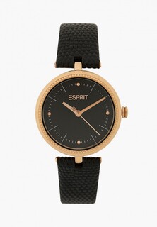 Часы Esprit ES1L296L0055