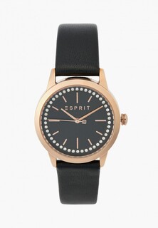 Часы Esprit ES1L362L0045