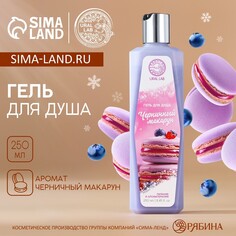 Гель для душа, 250 мл, аромат черничного макаруна, aroma sound by ural lab