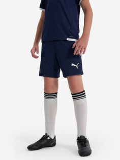 Шорты для мальчиков PUMA Teamliga Jr, Синий