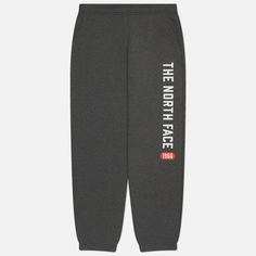 Мужские брюки The North Face Varsity Graphic, цвет серый