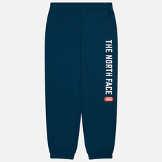 Мужские брюки The North Face Varsity Graphic, цвет синий