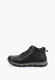 Ботинки T.Taccardi 