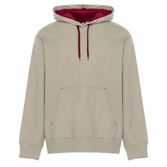 Мужская худи Coordinates Hoodie The North Face
