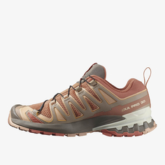Женские кроссовки Salomon XA Pro 3D V9
