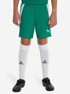 Шорты для мальчиков PUMA Teamliga Jr, Зеленый