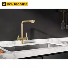 Смеситель для кухни с фильтром Delinia Лум высота излива 26.5 см цвет золотой