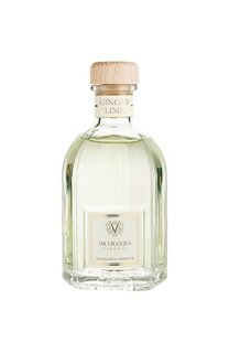 Диффузор Ginger Lime (500ml) Dr. Vranjes Firenze