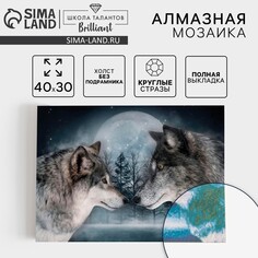 Алмазная мозаика с полным заполнением на холсте Школа талантов