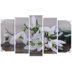 Картина модульная, 125х80 см, 5 модулей, V-166