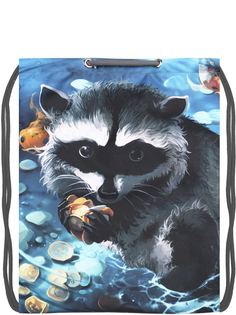 Мешок Bag Rio