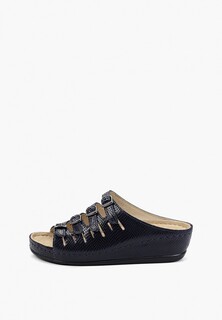 Сабо Berkemann Hasse