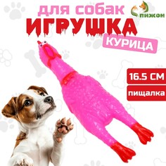 Игрушка пищащая Пижон