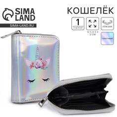 Кошелек с голографическим эффектом, цвет серебро Nazamok Kids