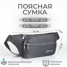 Поясная сумка на молнии, 2 наружных кармана, цвет серый NO Brand
