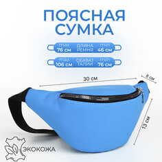 Сумка поясная на молнии, цвет синий NO Brand