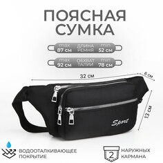 Поясная сумка на молнии, 2 наружных кармана, цвет черный NO Brand