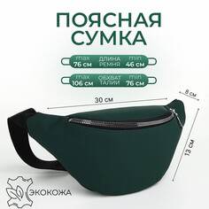 Сумка поясная на молнии, цвет зеленый NO Brand