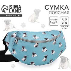 Поясная сумка на молнии, цвет голубой Nazamok Kids