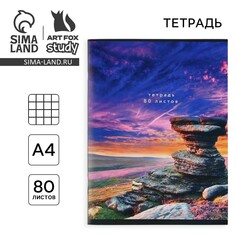 Тетрадь в клетку а4, 80 листов на скрепке Art Fox Study