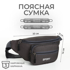 Сумка поясная на молнии, 2 наружных кармана, цвет серый NO Brand