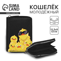 Кошелек молодежный Nazamok