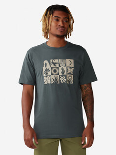 Футболка мужская Mountain Hardwear Desert Check Short Sleeve, Серый
