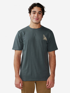 Футболка мужская Mountain Hardwear Jagged Peak Short Sleeve, Серый