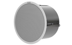 Biamp D6 RCF