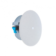 BIAMP CM20DTS RCF