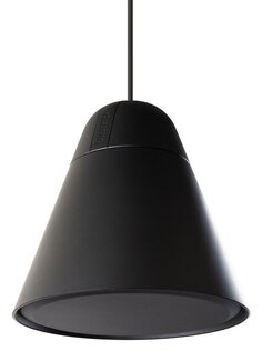 Biamp P60DT-BL RCF