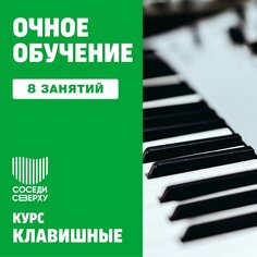 Фортепиано. 8 индивидуальных занятий Unknown