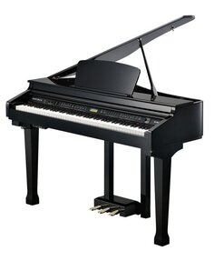 KAG100 BP Kurzweil